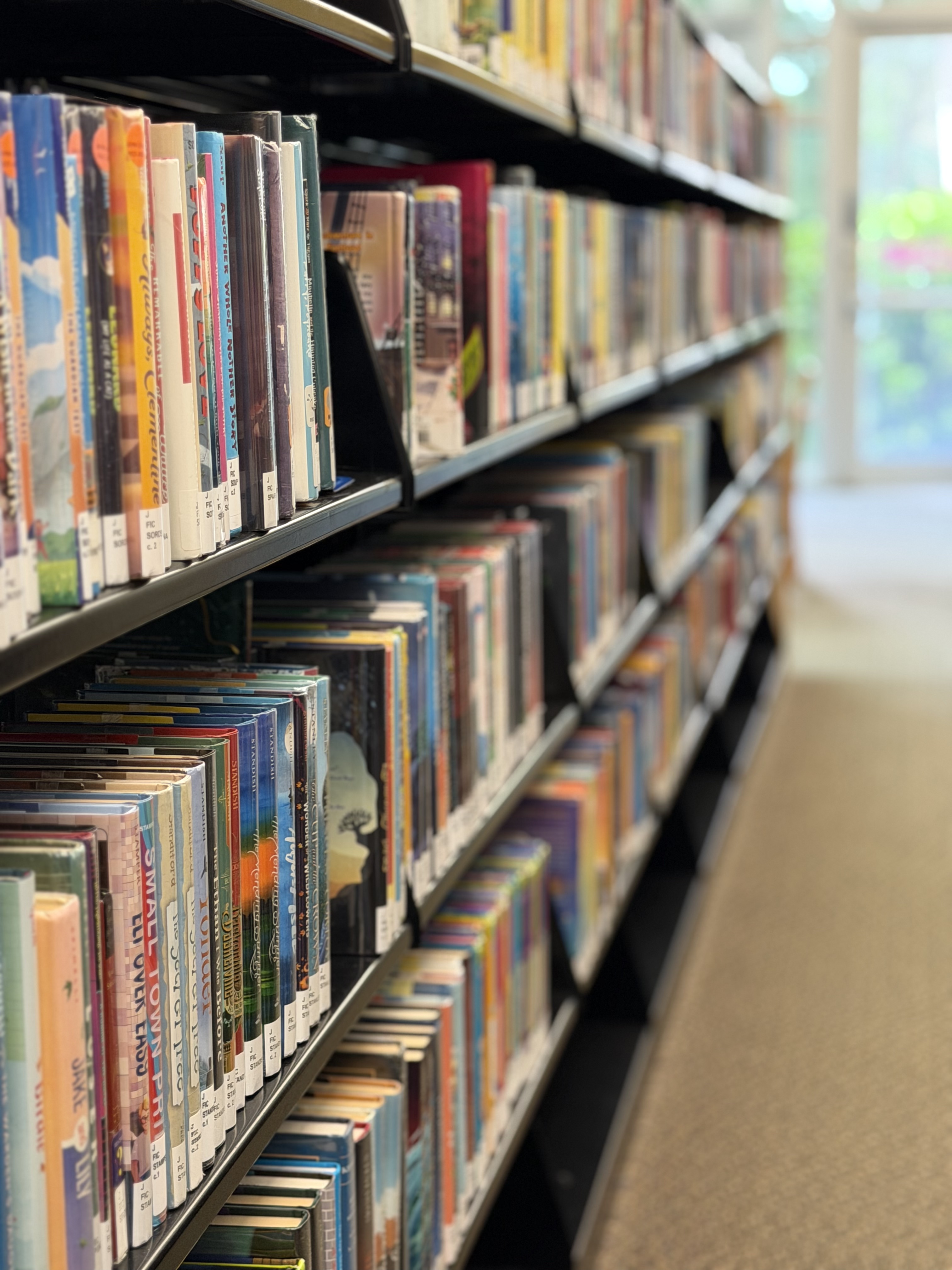 Library shelves