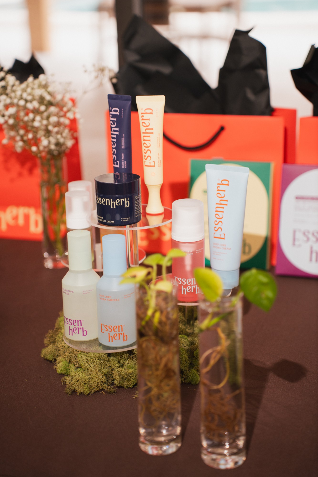 Product display with moss, plants, and skincare tubes